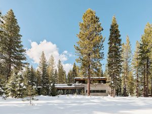 Forest House by Faulkner Architects