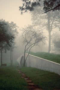 Discover The Hill in Front of the Glen designed by hw studio