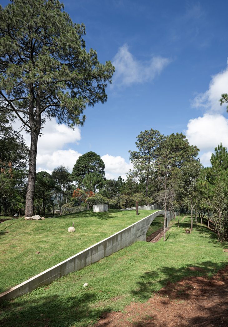 Discover The Hill in Front of the Glen designed by hw studio