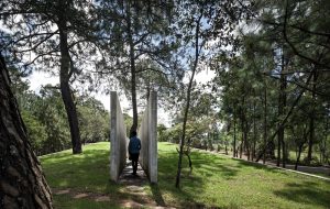 Discover The Hill in Front of the Glen designed by hw studio