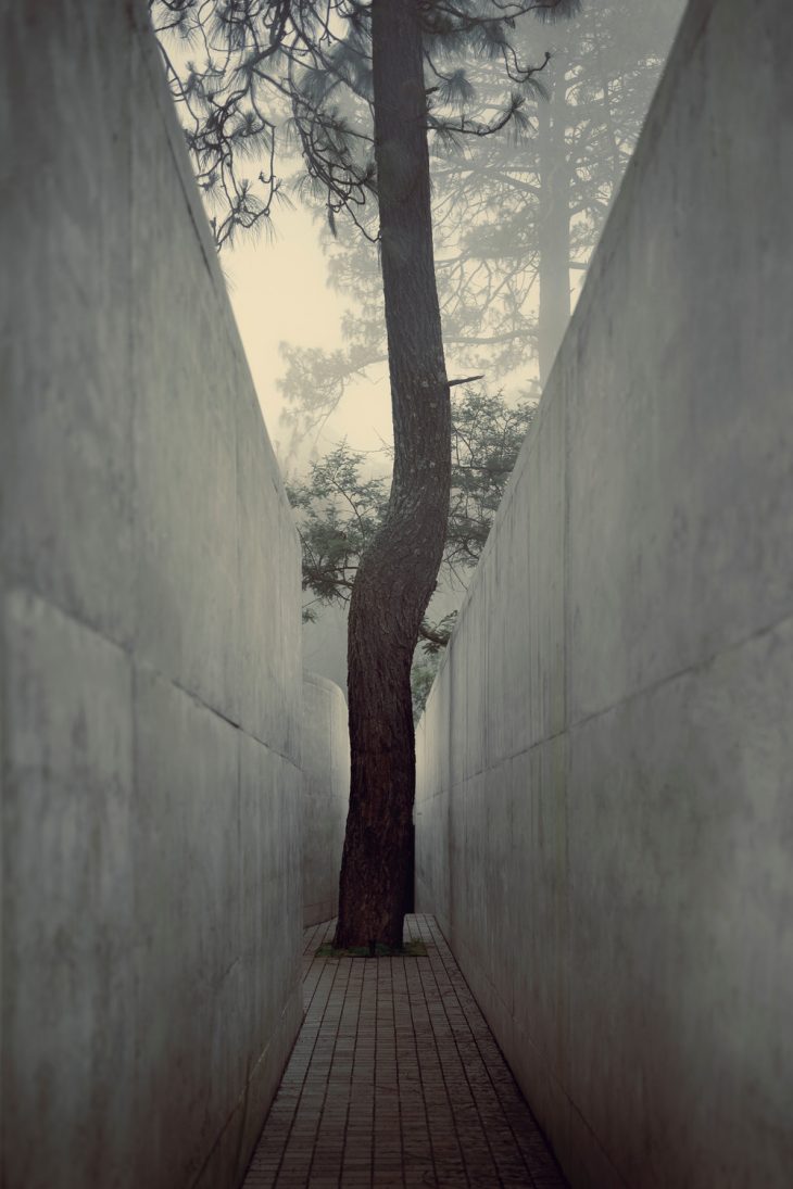 Discover The Hill in Front of the Glen designed by hw studio