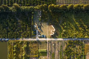 Discover the Bamboo Pavilion designed by LIN architecture