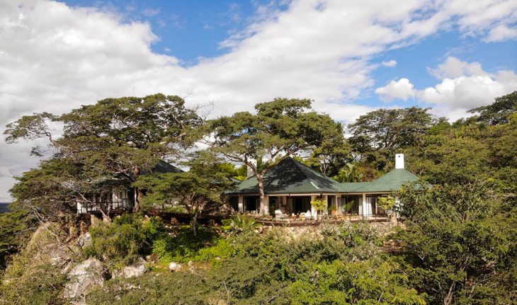 ARCHISCENE Talks With Pantic Architects about their Thetford Tree House project