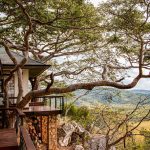 ARCHISCENE Talks With Pantic Architects about their Thetford Tree House project