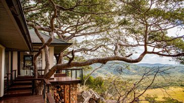 ARCHISCENE Talks With Pantic Architects about their Thetford Tree House project