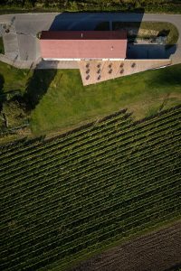 Discover Wine Bar Reisten designed by ORA