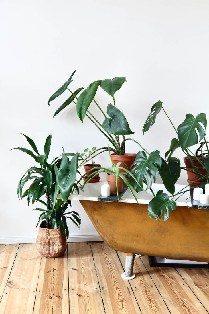 10 Ways To Include Indoor Plants Into Your Home Decor