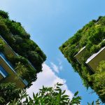 Biophilic Design In Architecture