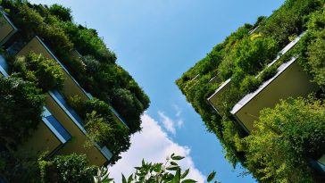 Biophilic Design In Architecture