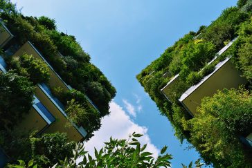 Biophilic Design In Architecture