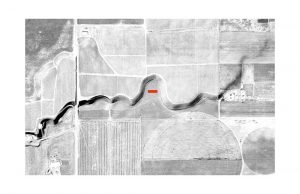 Alton Wines designed by GO'C