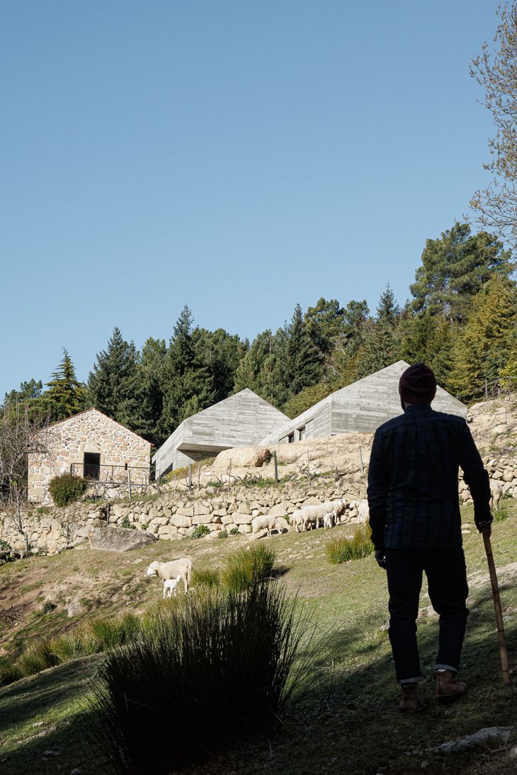 Take a Tour of House NaMora designed by Filipe Pina and David Bilo