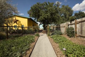 Casa Waldo Surface Resources