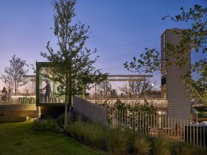 The Pitch by Mark Odom Studio