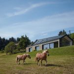 Cork Facade Mountain House by atelier SAD & Iveta Zachariášová