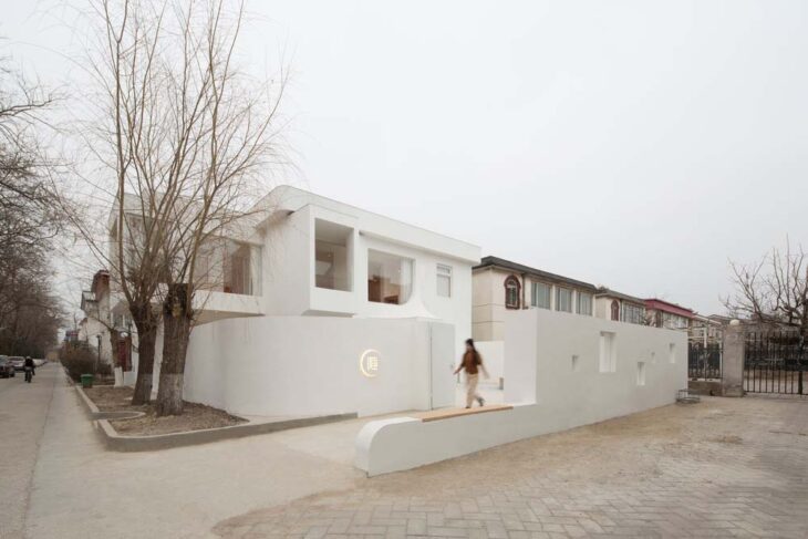 Sleeping Lab - Arch