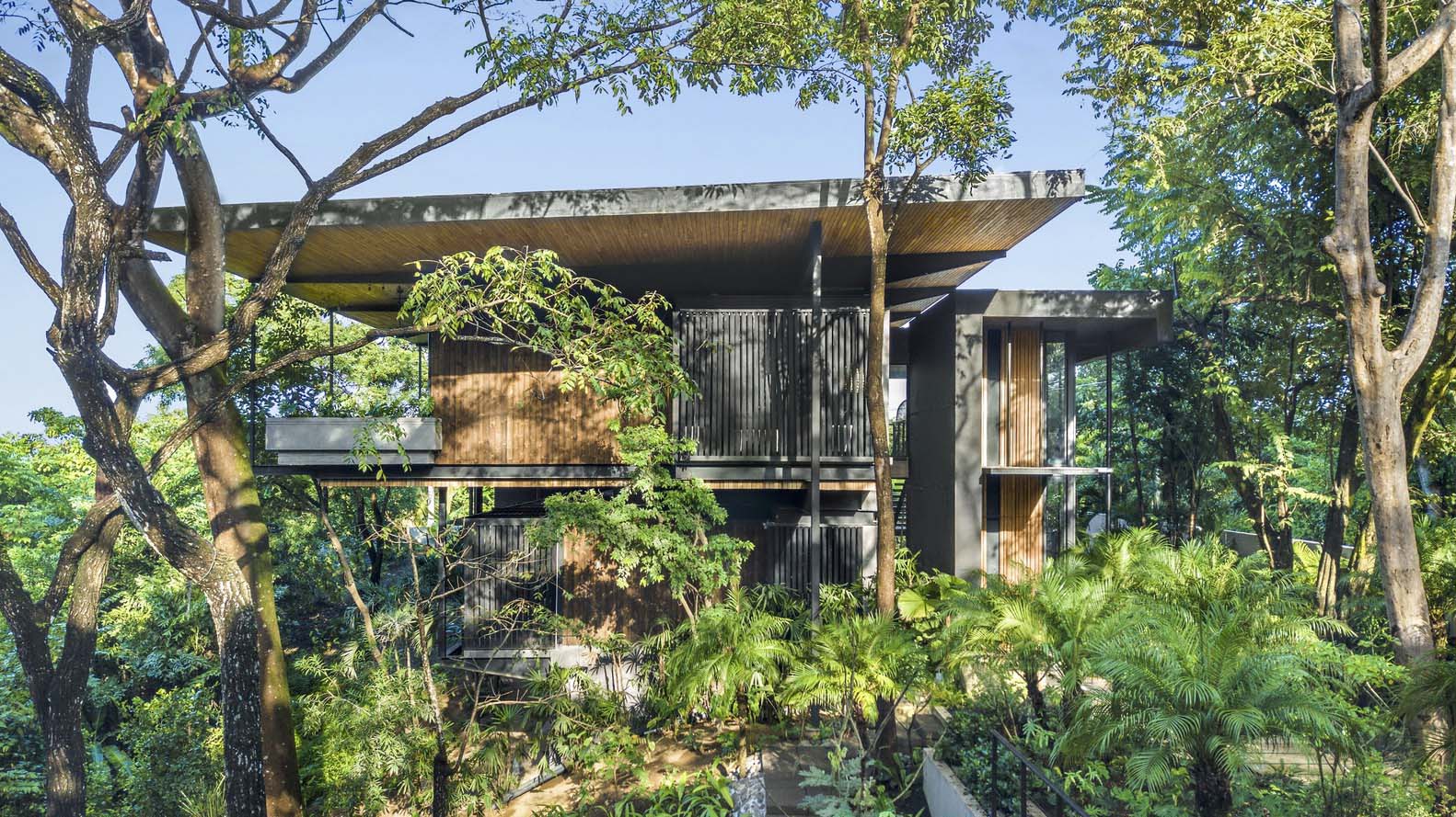 Raintree House