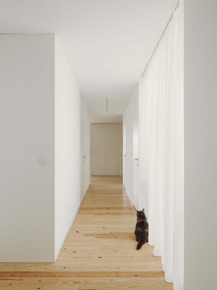 Bruno Dias Arquitectura