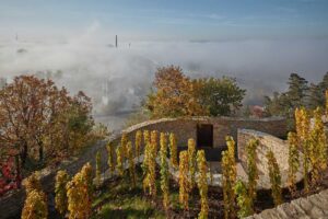 Marco Maio Architects