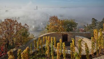 Marco Maio Architects