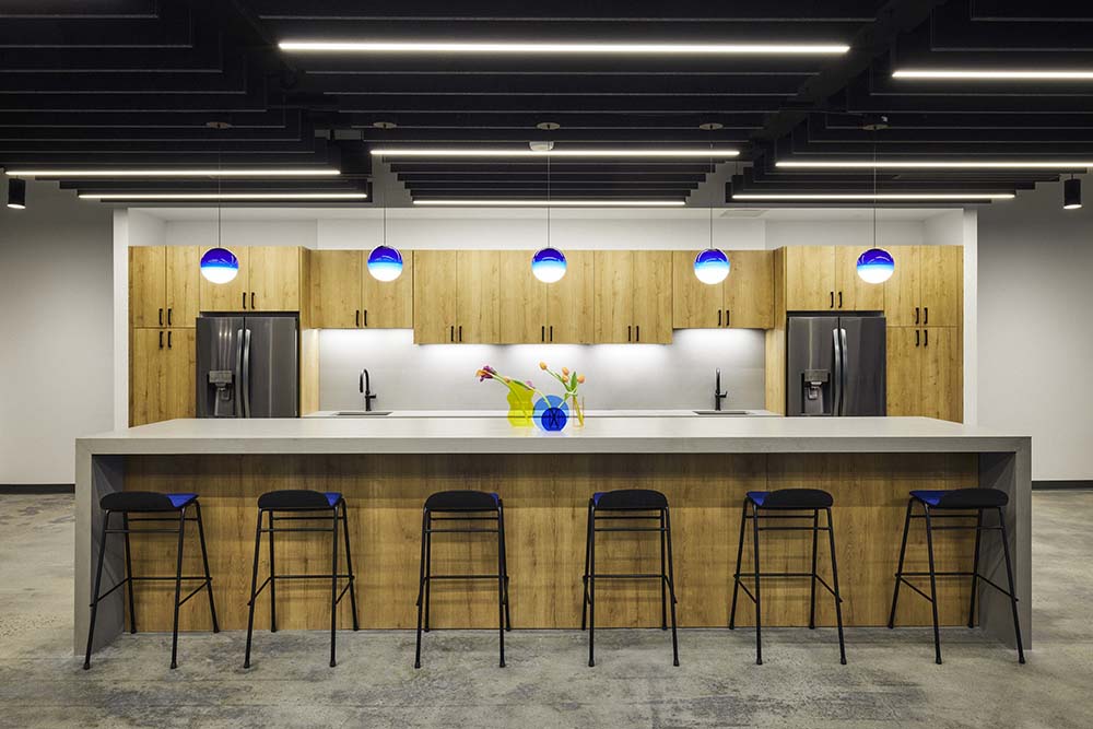 npz studio
