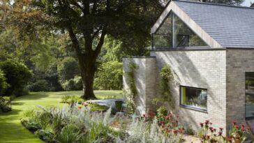 How to Safely Inspect Your Roof for Damages