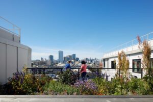 Leddy Maytum Stacy Architects