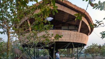 Macha House by Abin Design Studio