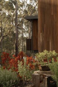 Suzanne Hunt Architect