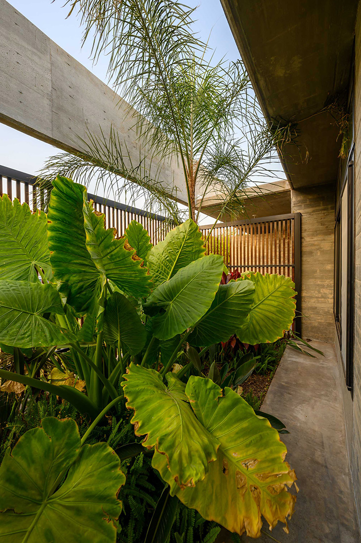 ARP Architects Shape A Modern Home in Argentina