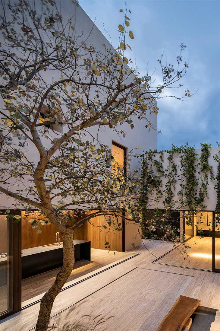 Sabino 10 Editorial Arquitectura