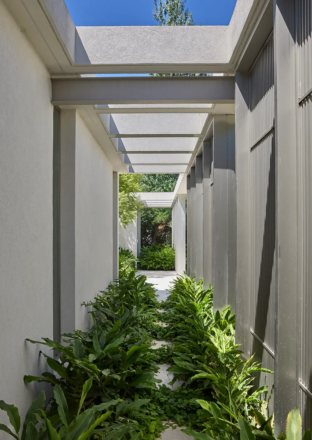 Quiet Architecture of Casa Botánica with Melazza Co-Founders