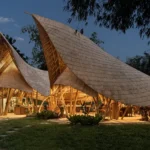 Bull Pavilion Chiangmai Life