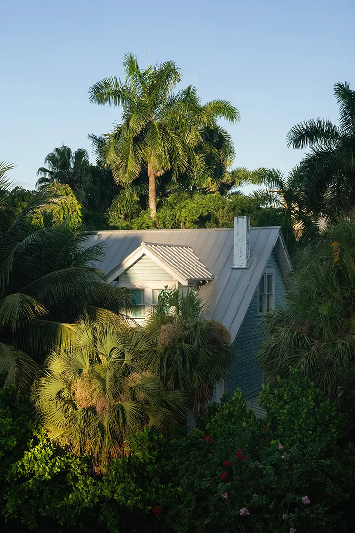 Alcova Miami Set for Third Edition This December