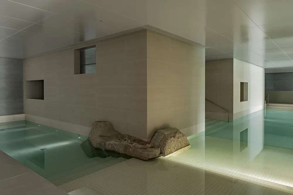 Joyous Spring Wellness Center by Soong Lab
