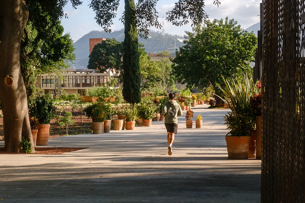 Parque Primavera in Mexico by RootStudio