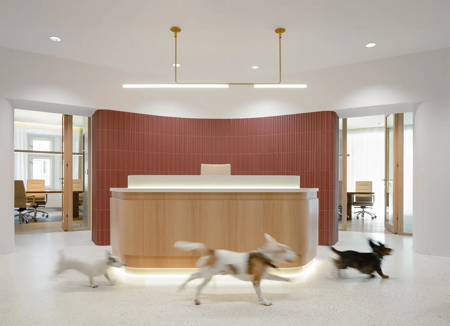 Marco Maio Architects